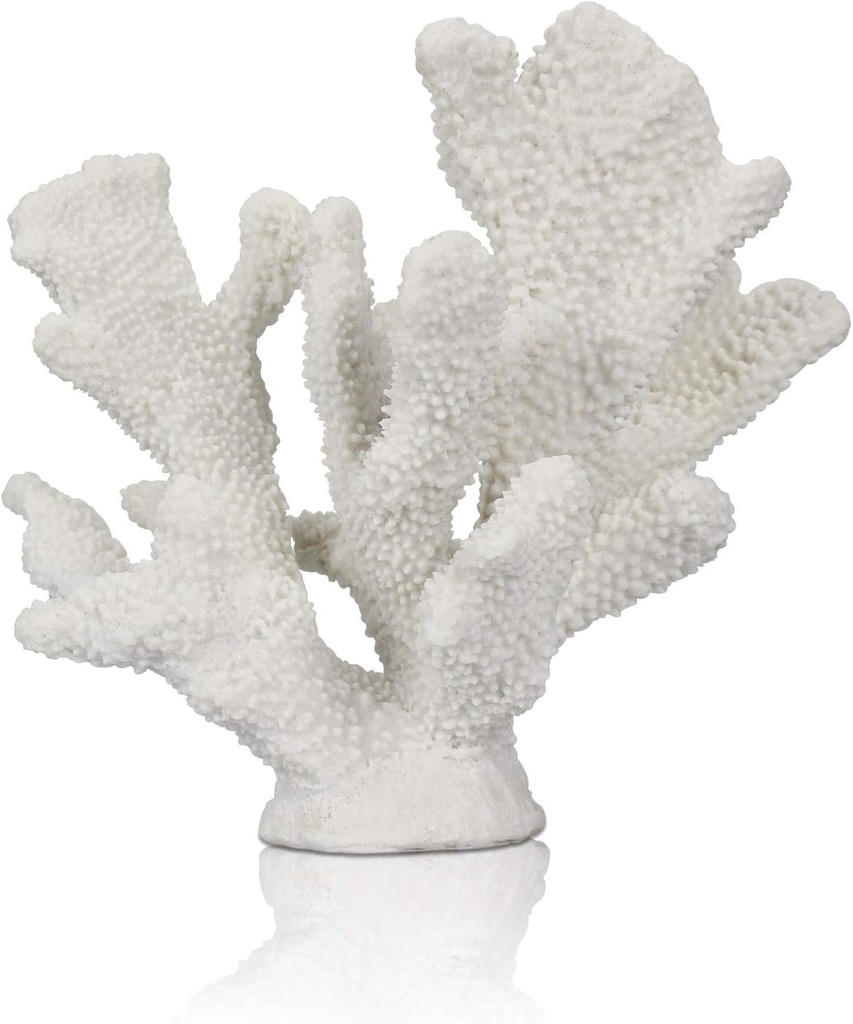 White Coral Piece